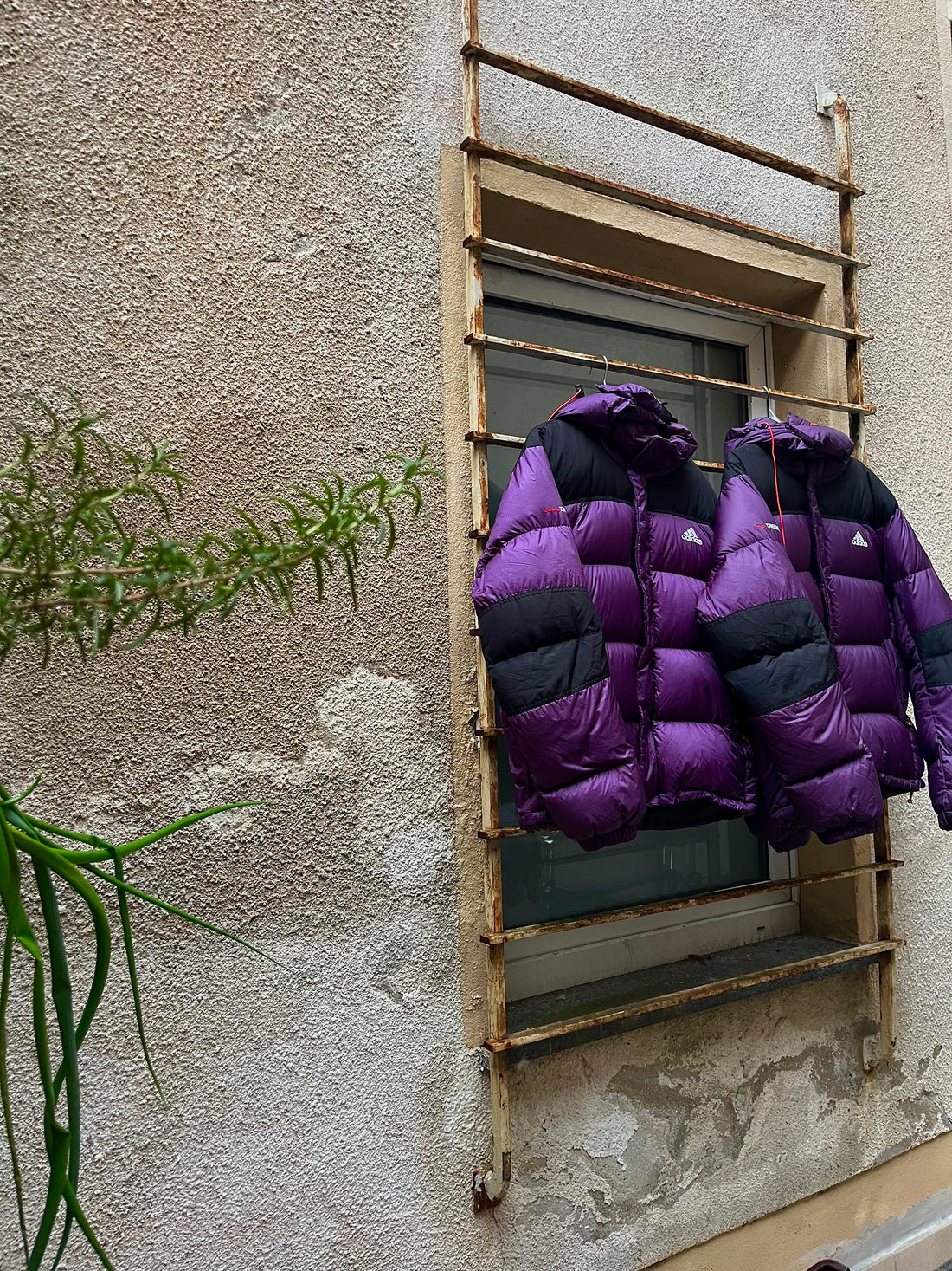 Vintage Puffer Box - Choose your Brand